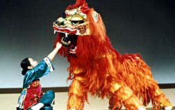 dance-lion2 dance-lion2